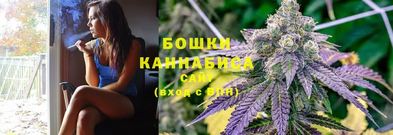 Шишки марихуана OG Kush  Новый Уренгой 